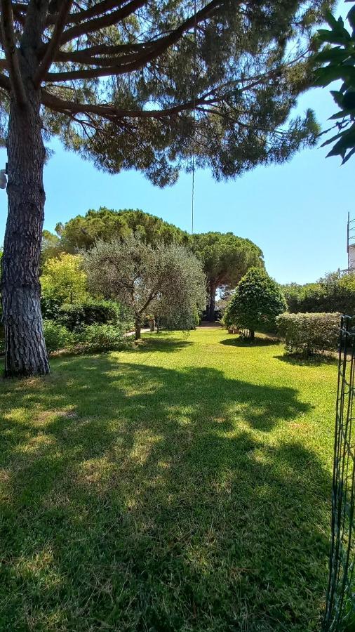 Apartament Casaisoladelba Lacona Zewnętrze zdjęcie